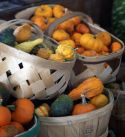 Fredrich's Honey Visit us at the Farmers Market