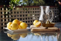 Honey Ginger Lemon Zinger