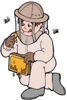 bee hives